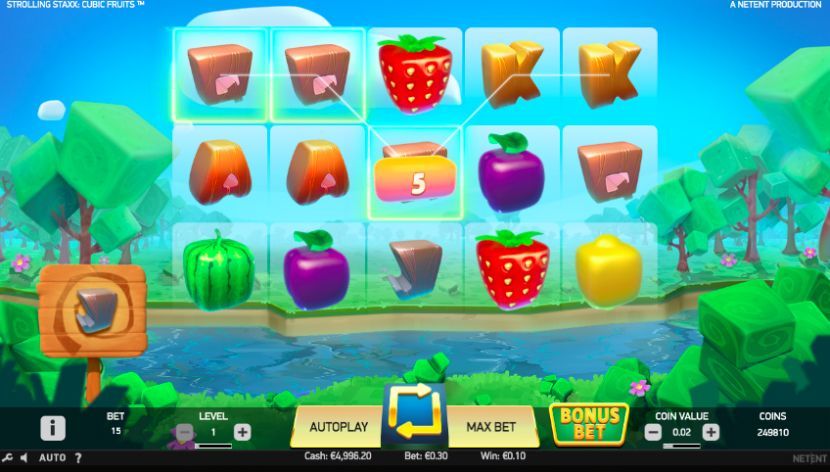 Cubic Fruits wins 